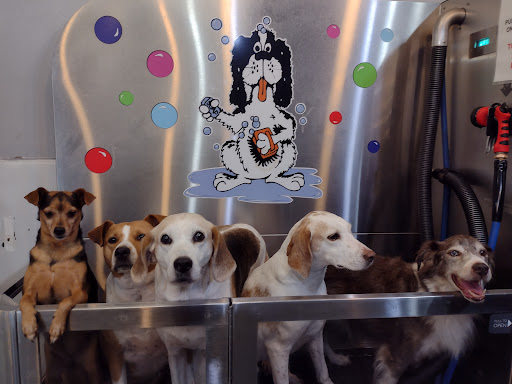 Pet Groomer «Belly scRubs Self Service Pet Wash», reviews and photos, 119 WV-34 #1, Hurricane, WV 25526, USA