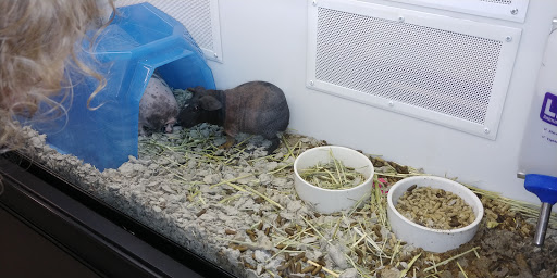 Pet Supply Store «Petco Animal Supplies», reviews and photos, 390 East 525 North, Harrisville, UT 84404, USA