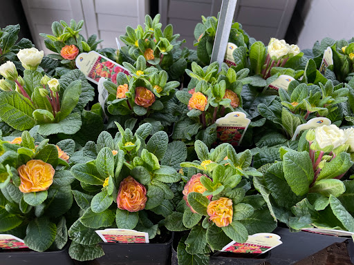 Hardware Store «McLendon Hardware», reviews and photos, 11307 Canyon Rd E, Puyallup, WA 98373, USA