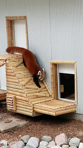 Zoo «John Ball Zoo», reviews and photos, 1300 West Fulton Street, Grand Rapids, MI 49504, USA