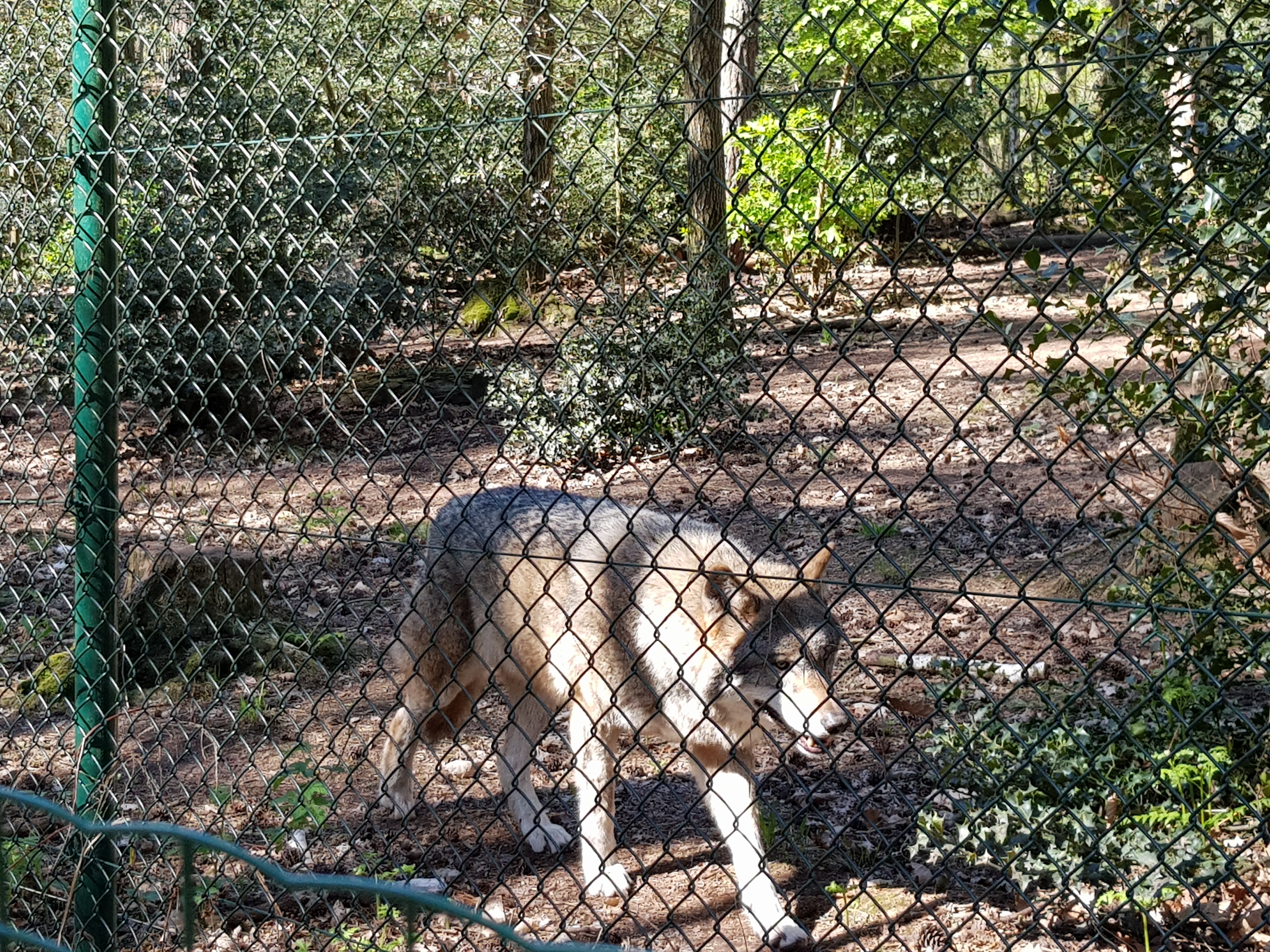 Photo n° 3 de l'avis de Elo.b fait le 09/06/2019 à 12:26