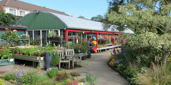 Murphy & Wood Garden Centre