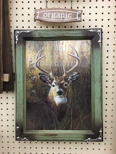 Craft Store «Hobby Lobby», reviews and photos, 200 S Waukegan Rd, Deerfield, IL 60015, USA