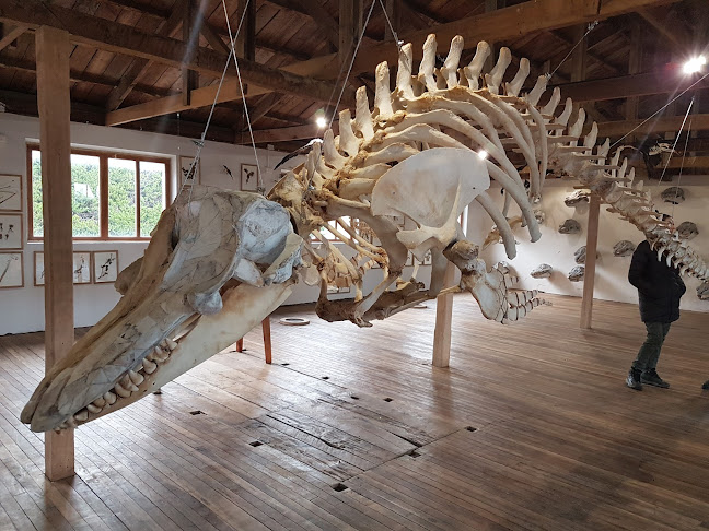 Museo de Historia Natural Río Seco - Punta Arenas