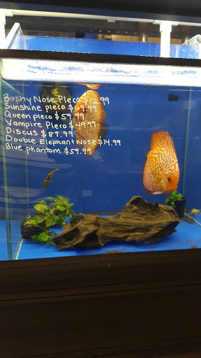 Pet Store «Super Pets», reviews and photos, 1807 E Chapman Ave, Orange, CA 92867, USA