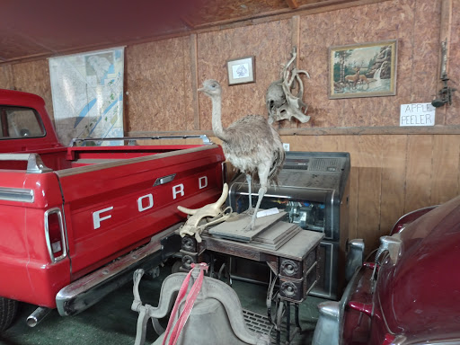 Zoo «Waccatee Zoological Farm», reviews and photos, 8500 Enterprise Rd, Myrtle Beach, SC 29588, USA