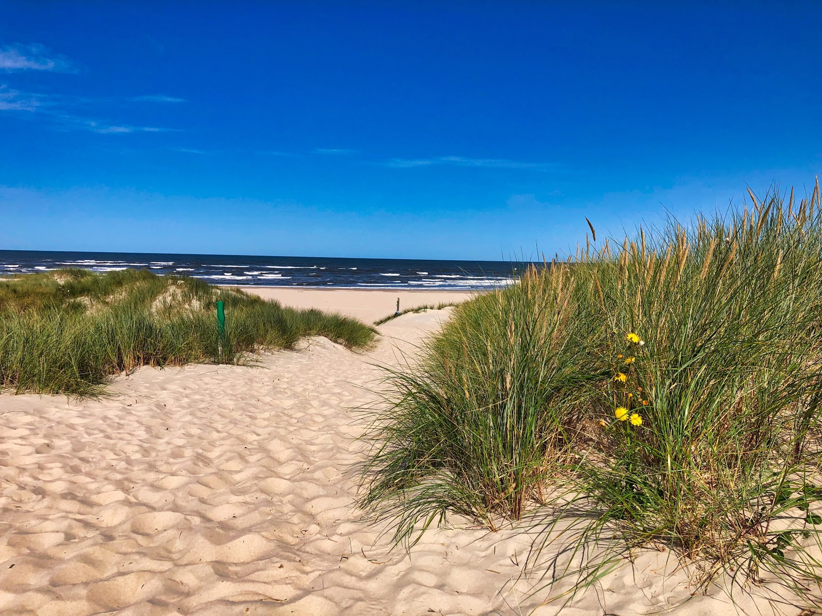 Baltrumer Badestrand photo #8