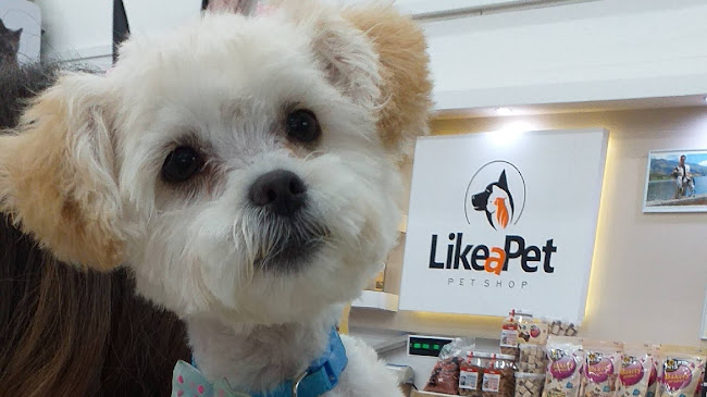 Αξιολογήσεις για το Like A Pet στην Καματερό - Εκπαιδευτής σκύλου