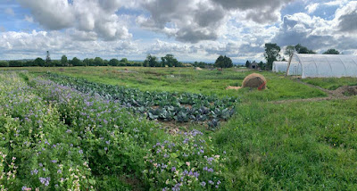 La Ferme d'Elles à Saint-Georges-d'Elle