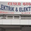 Cesur Oto Elektrik & Elektronik resmi