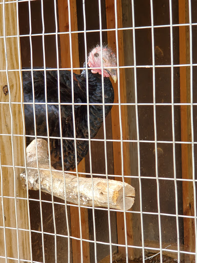 Park «Merrill Park», reviews and photos, Fairview Ave, Colonia, NJ 07067, USA