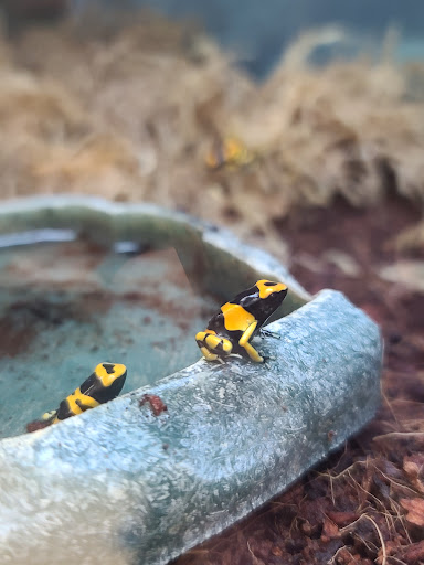 Pet Supply Store «Petco Animal Supplies», reviews and photos, 3680 Spencer Hwy, Pasadena, TX 77504, USA