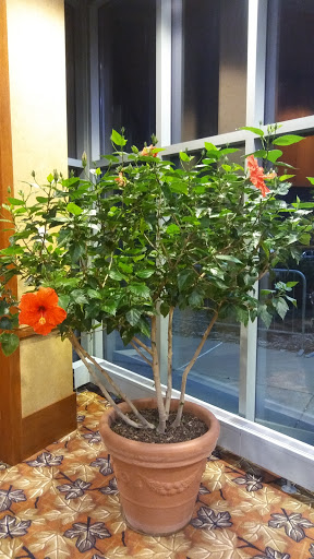 Casino «Grand Casino Hinckley», reviews and photos, 777 Lady Luck Dr, Hinckley, MN 55037, USA