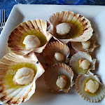 Photo n°2 de l'avis de Davide. fait le 14/02/2018 à 15:25 sur le  Trattoria Alla Busa à San Martino di Venezze