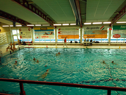 Swimming courses for babies in Rotterdam