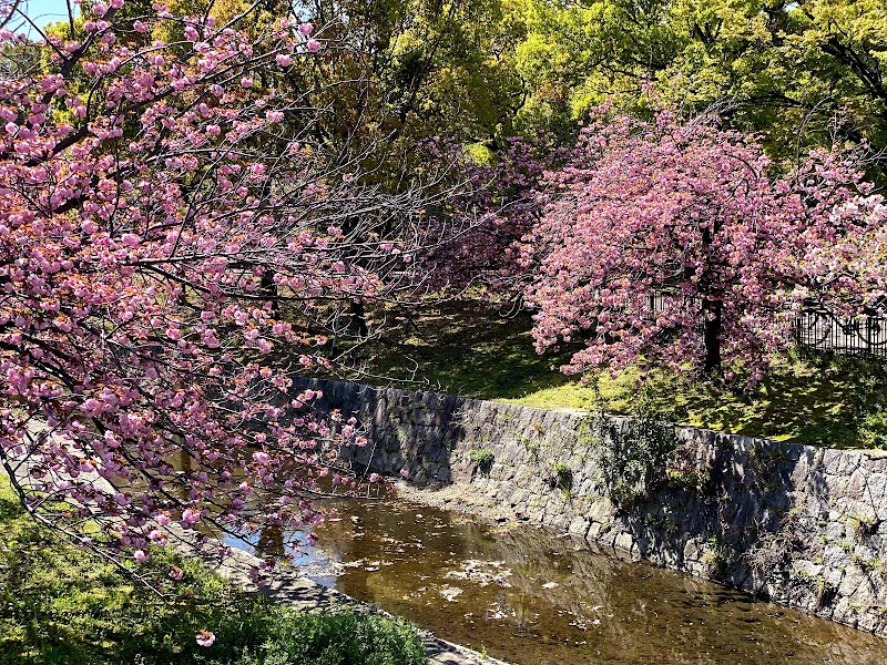 上坂部西公園