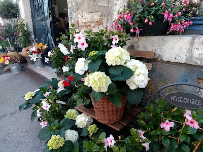 Les fleurs de Laurette à Meung-sur-Loire