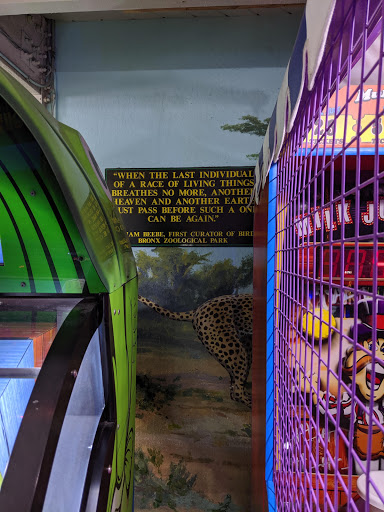 Amusement Center «The Jungle Concord», reviews and photos, 1975 Diamond Blvd #100, Concord, CA 94520, USA