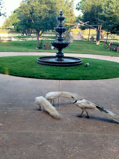 Wedding Venue «Rancho La Mission», reviews and photos, 14047 Henze Rd, San Antonio, TX 78223, USA