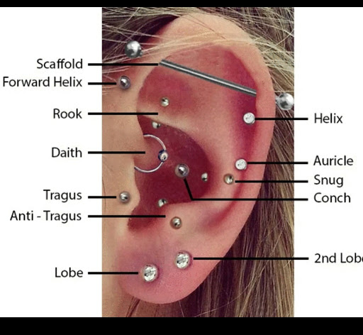 Explore cool ideas for sleeve tattoos, creative tattoo ideas in Kansas City, available at La plaza tattoo and art gallery