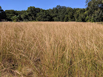 Blue Moon Construction, LLC. - Photo 7 - Car repair in Tampa, FL, Tampa