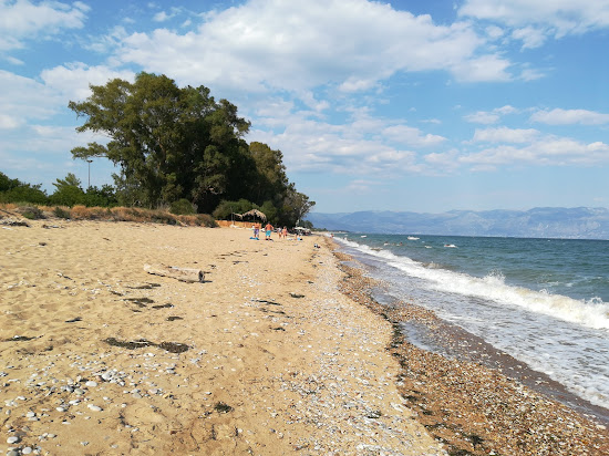 beach Of Velika