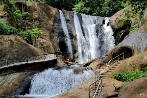 Kumbhavurutty Falls image