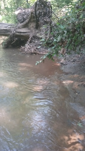 Nature Preserve «Big Brook Preserve», reviews and photos, 95 Hillsdale Rd, Colts Neck, NJ 07722, USA