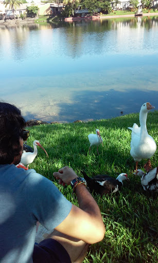 Country Club «Country Club of Miami», reviews and photos, 6801 NW 186th St, Hialeah, FL 33015, USA