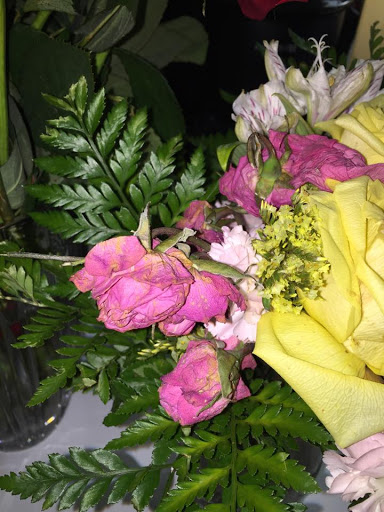 Florist «Fort Lauderdale Florist», reviews and photos, 1115 N Federal Hwy, Fort Lauderdale, FL 33304, USA