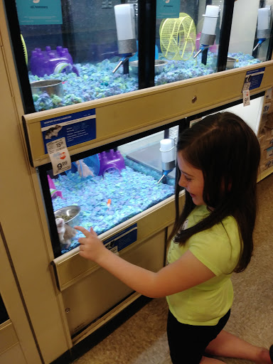 Pet Supply Store «PetSmart», reviews and photos, 16760 Highlands Center Blvd, Bristol, VA 24202, USA