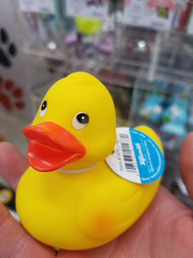 Toy Store «Curious Kidstuff», reviews and photos, 4740 California Ave SW, Seattle, WA 98116, USA