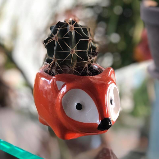 Florist «Plumeria Botanical Boutique», reviews and photos, 1364 W Michigan Ave, Battle Creek, MI 49037, USA