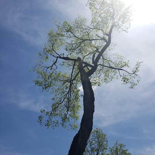 National Park «Petersburg National Battlefield Park Trailhead», reviews and photos, 5001 Siege Rd, Petersburg, VA 23804, USA