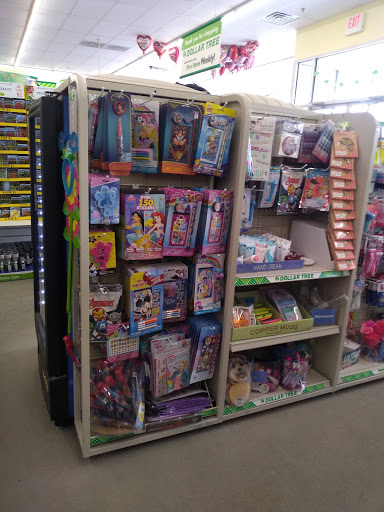 Dollar Store «Dollar Tree», reviews and photos, 321 Indian Boundary Rd, Chesterton, IN 46304, USA