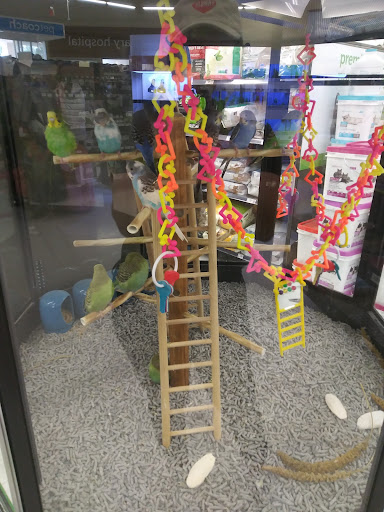 Pet Supply Store «Petco Animal Supplies», reviews and photos, 921 Harley Strickland Blvd, Orange City, FL 32763, USA