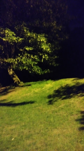 Park «Volunteer Park», reviews and photos, 1247 15th Ave E, Seattle, WA 98112, USA