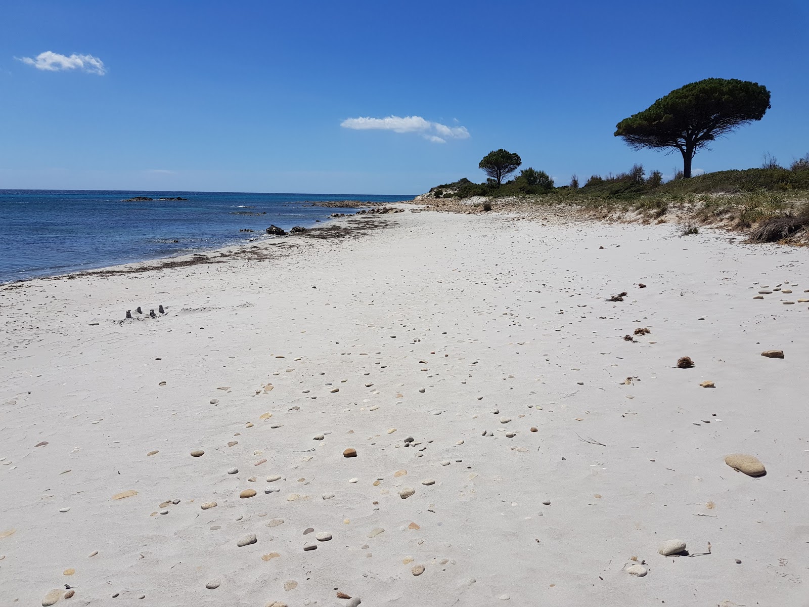 Foto de Riserva Bidderosa con parcialmente limpio nivel de limpieza