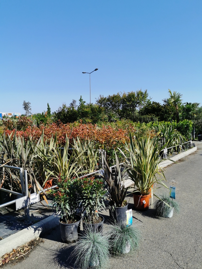 Photo n° 1 de l'avis de Christophe.i fait le 18/05/2020 à 16:12