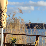 Photo n°2 de l'avis de S... fait le 27/03/2024 à 11:48 sur le  Seehutte am Kellersee the fischbrötchen-Cafe à Malente