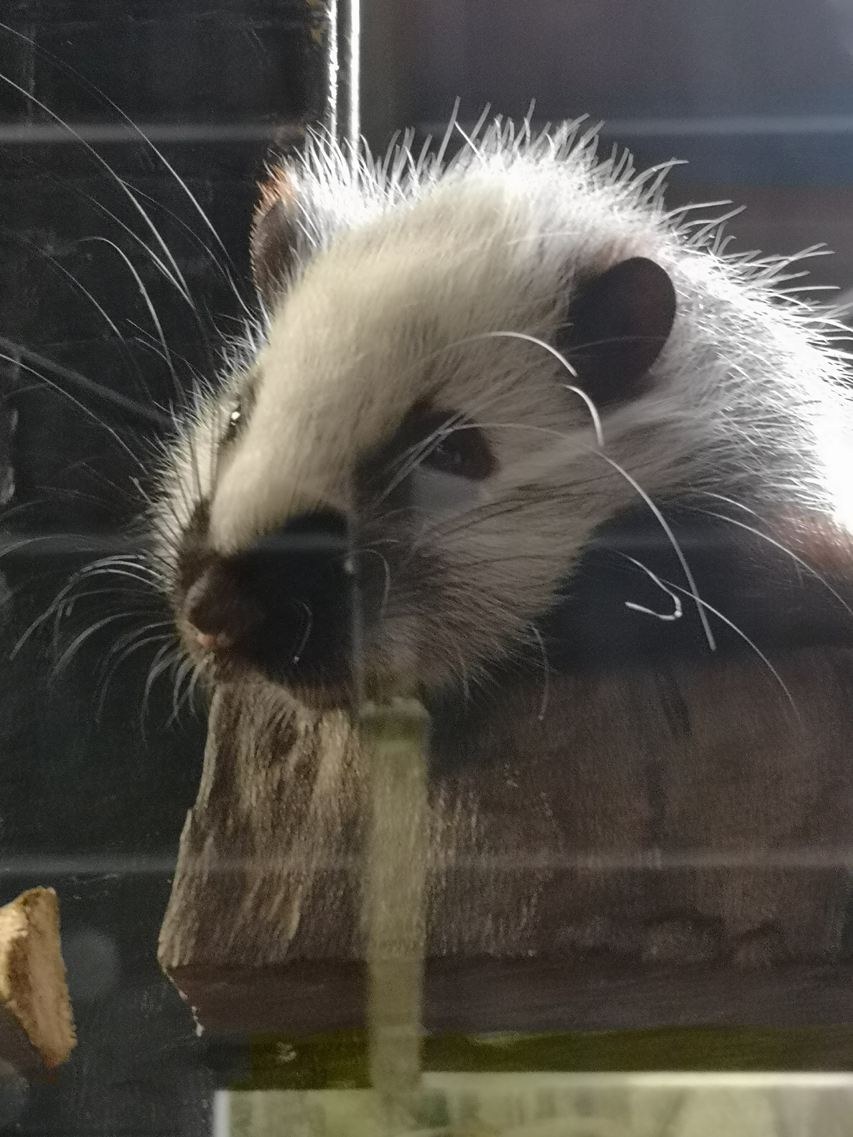 Photo n° 9 de l'avis de Bryan.r fait le 24/04/2018 à 19:19