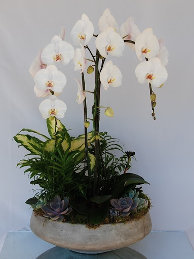 Florist «Crescenta Valley Flowers», reviews and photos, 2900 Foothill Blvd, La Crescenta, CA 91214, USA