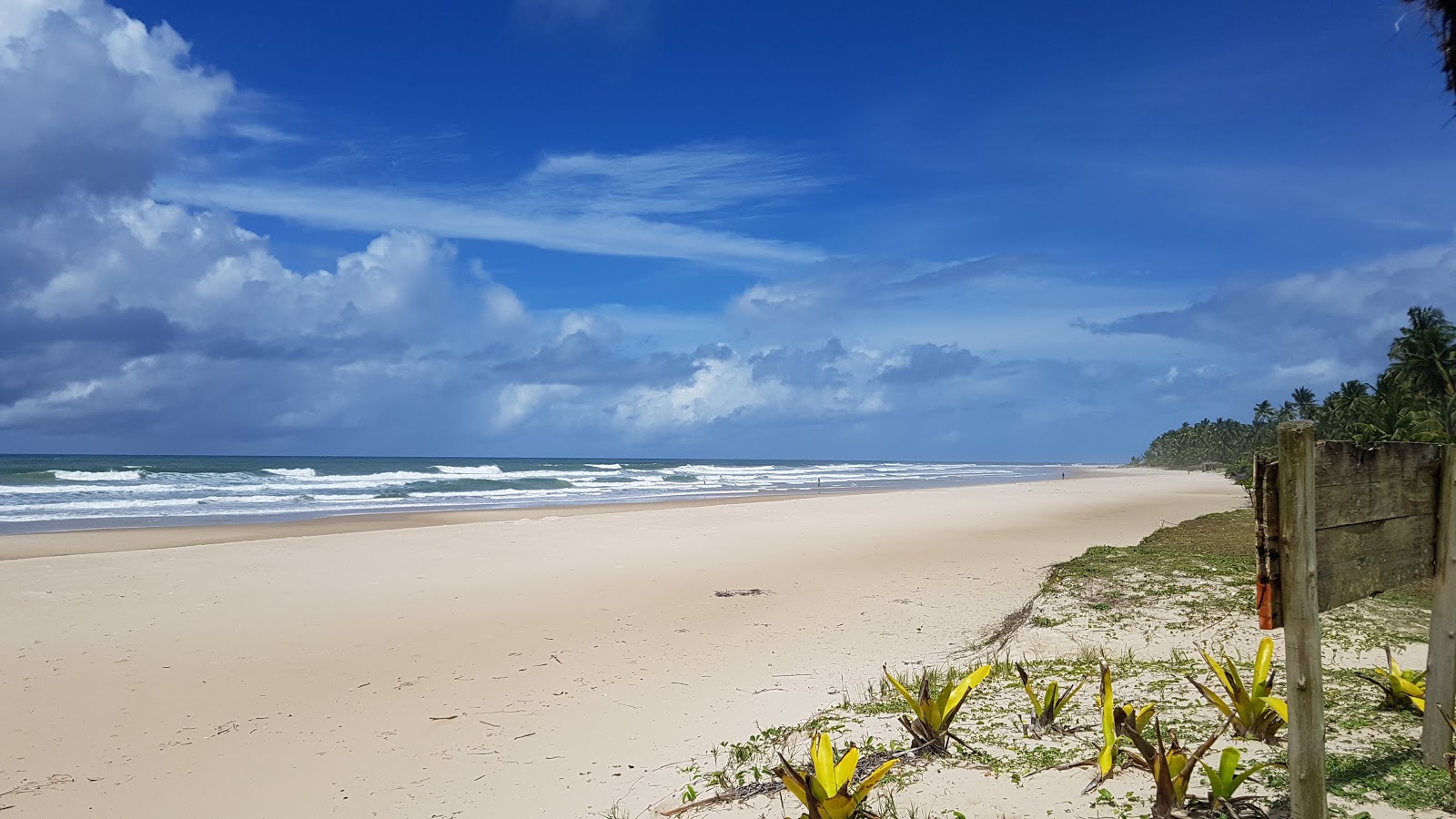 Photo de Praia do Sargi zone des équipements
