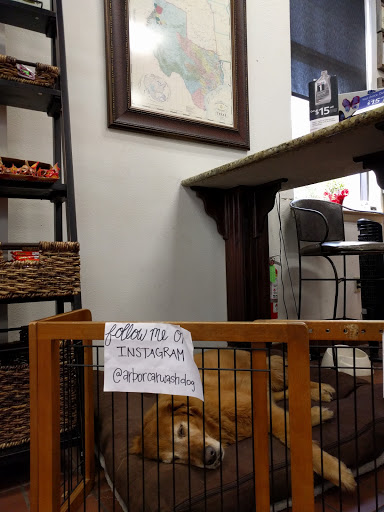 Car Wash «The Arbor Car Wash and Lube Center», reviews and photos, 3120 Guadalupe St, Austin, TX 78705, USA