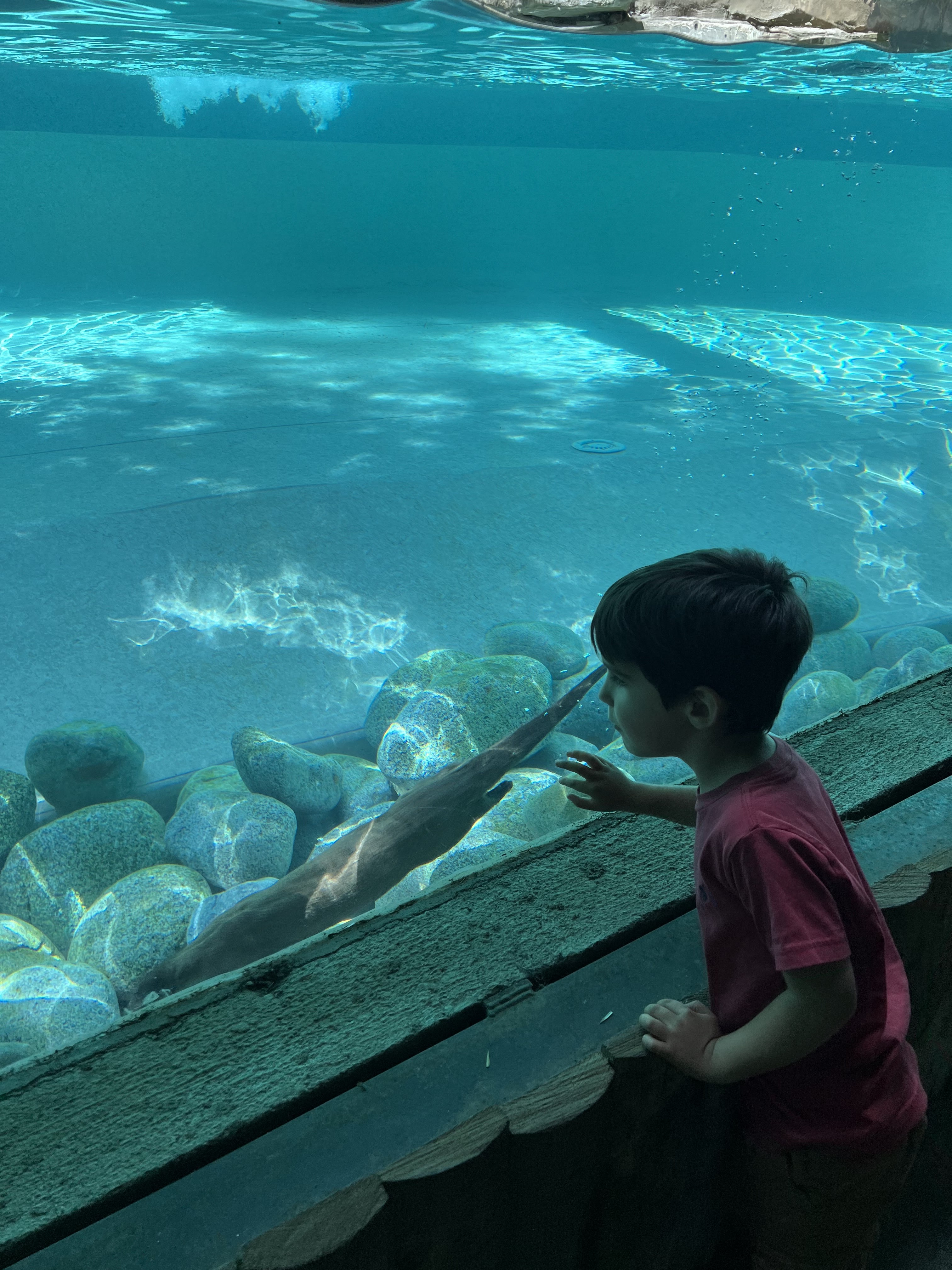 Photo n° 9 de l'avis de Fish.n fait le 11/09/2022 à 15:55