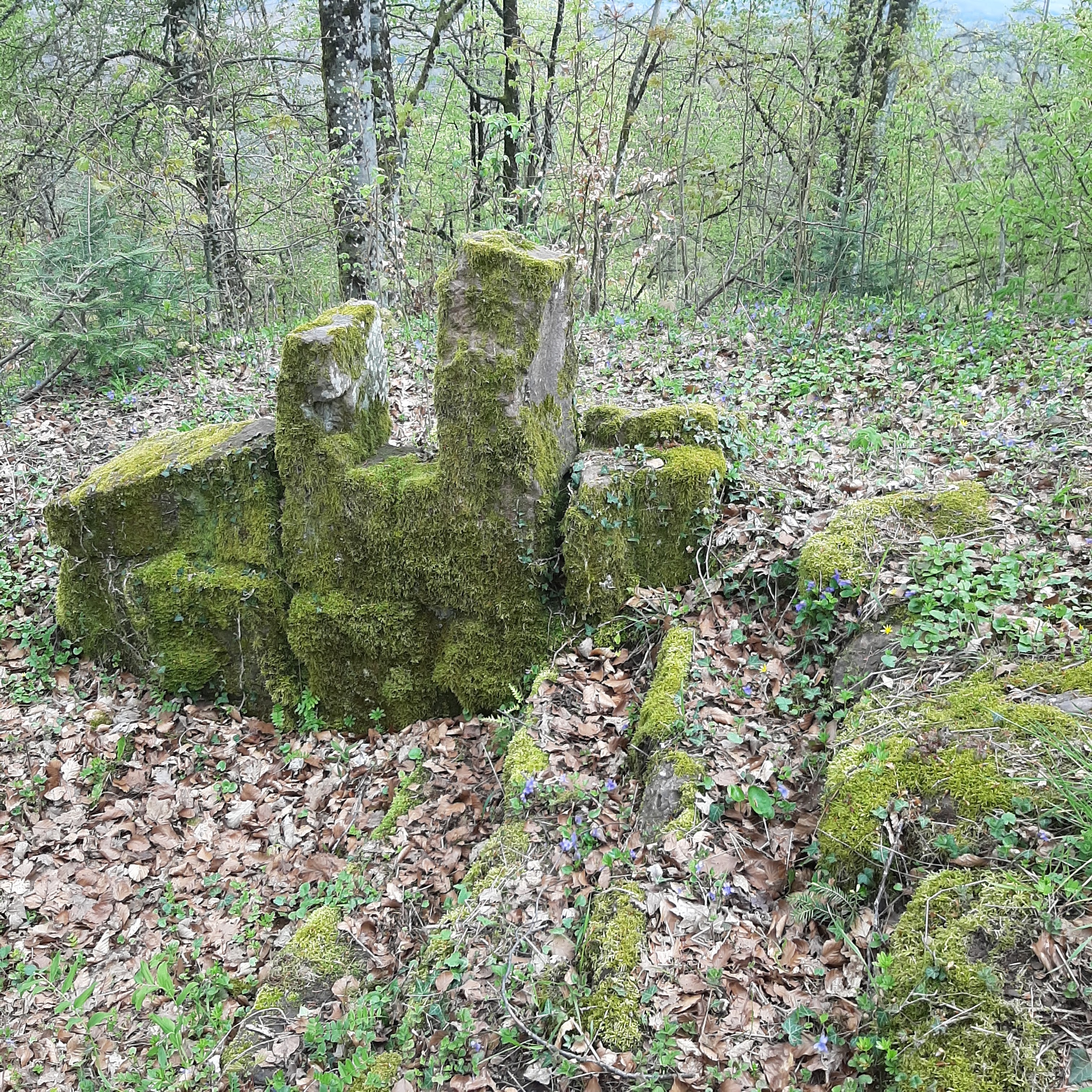 Photo n° 1 de l'avis de Hermeticum.u fait le 23/04/2023 à 13:48