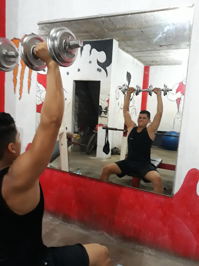 BODY GYM FERTISA - P3VX+624, Dr Manuel Ignacio Aguirre Y Anzoategui, Guayaquil 090208, Ecuador