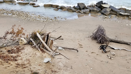 Nature Preserve «Kenosha Sand Dunes», reviews and photos, 7th Ave, Pleasant Prairie, WI 53158, USA