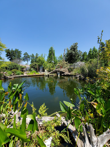 Pet Store «Ponds & Plants», reviews and photos