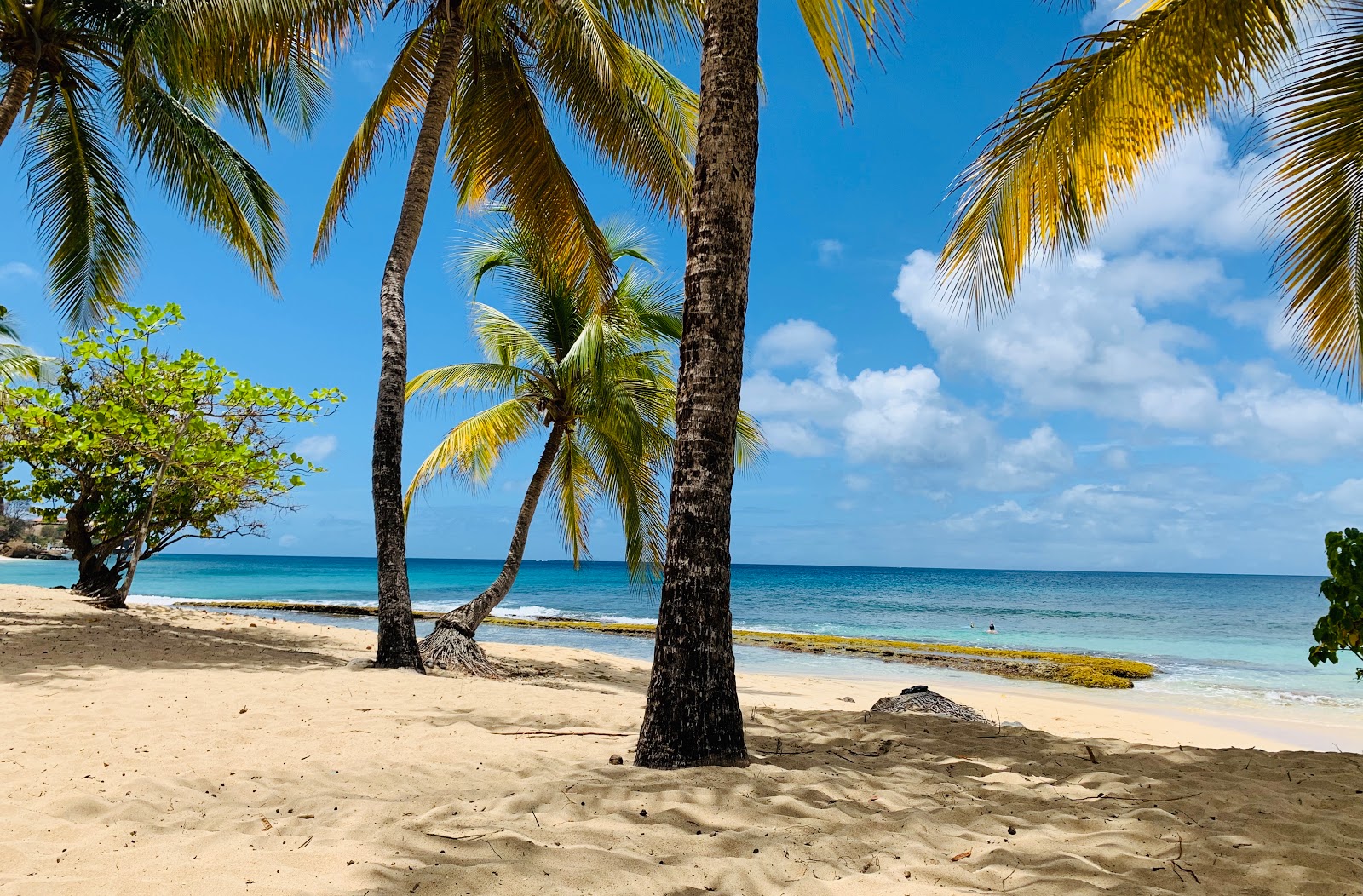 Photo de Magazine beach avec sable lumineux de surface